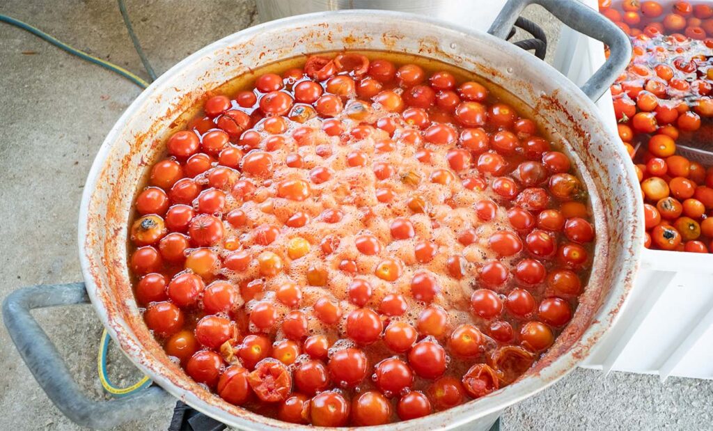 Step_2_Cooking Tomatoes Cooking Tomatoes
